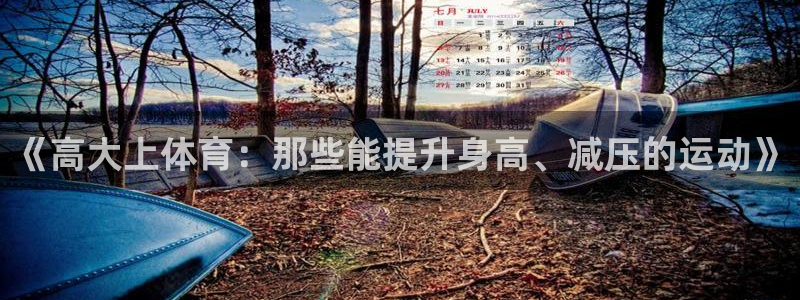 3377体育官方正版app娱乐代理怎么样：《高大上体