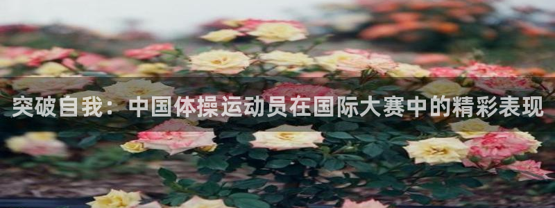 3377体育官网下载招商电话是多少：突破自我：中国体