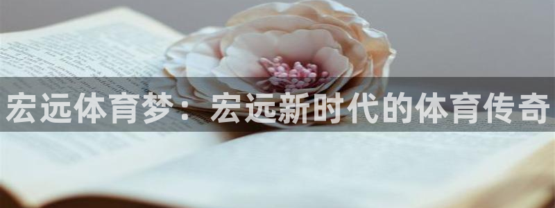 3377体育官方正版app开户：宏远体育梦：宏远新时
