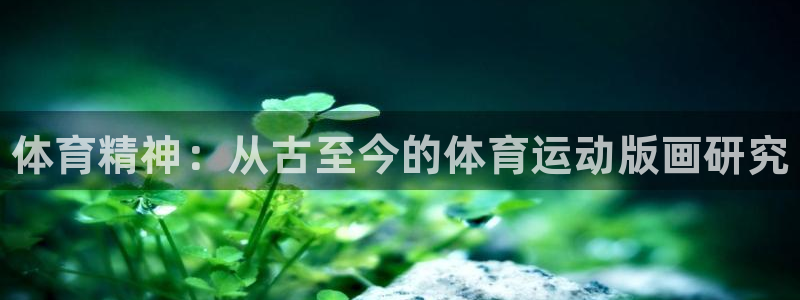 3377体育官网下载软件：体育精神：从古至今的体育运
