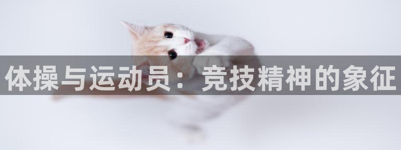 3377体育官网下载注册：体操与运动员：竞技精神的象