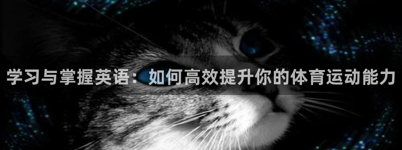 3377体育官网下载招商电话号码查询是多少：学习与掌