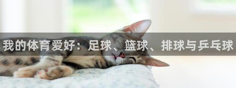 3377体育官网下载招商电话号码查询：我的体育爱好：
