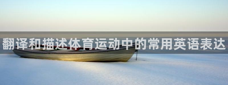 海南3377体育官网下载：翻译和描述体育运动中的常用