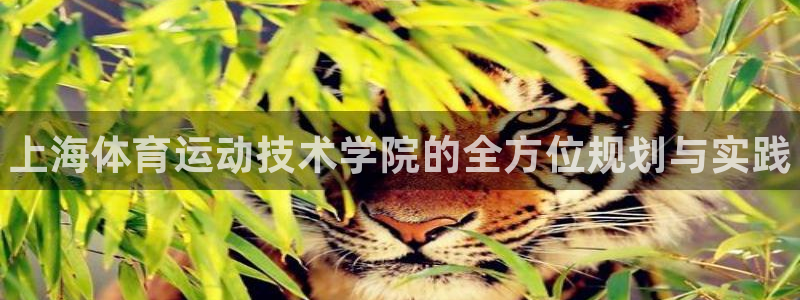 3377体育官方正版app集团官网网址：上海体育运动