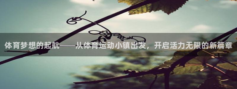 3377体育官方平台体育：体育梦想的起航——从体育运动小镇出