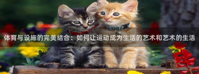 3377体育官网下载招商电话地址查询：体育与设施的完美结合：