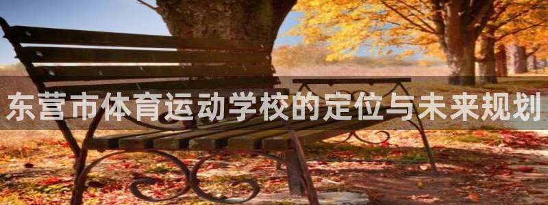 3377体育官网下载平台是正规平台吗知乎：东营市体育运动学校