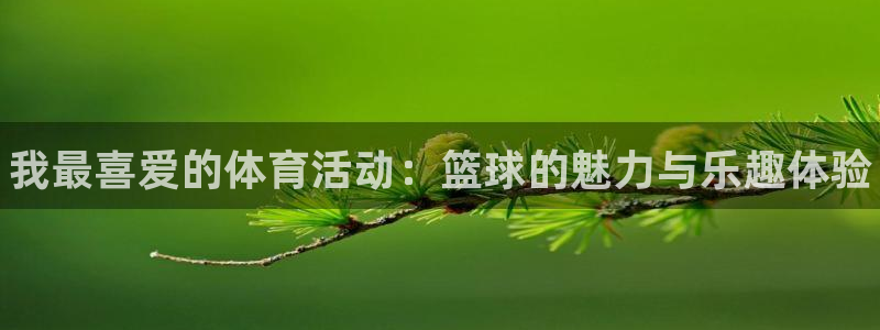 3377体育官网下载娱乐：我最喜爱的体育活动：篮球的魅力与乐