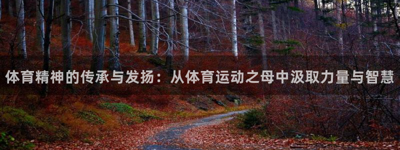 3377体育官网下载娱乐：体育精神的传承与发扬：从体育运动之