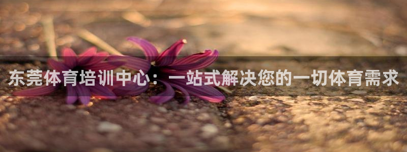 海南3377体育官网下载发展怎么样