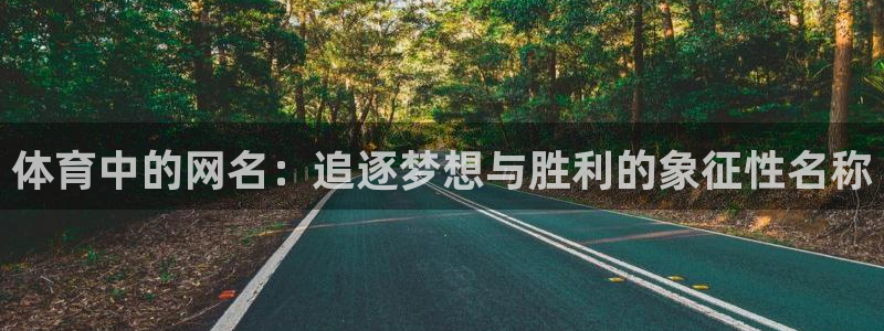 3377体育官网下载官方客服电话：体育中的网名：追逐