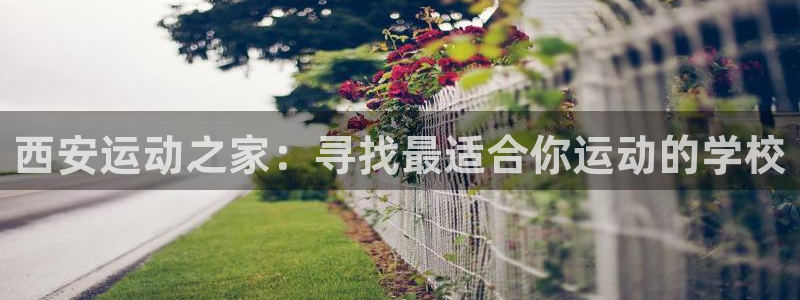 3377体育官网下载平台是正规平台吗知乎：西安运动之家：寻找
