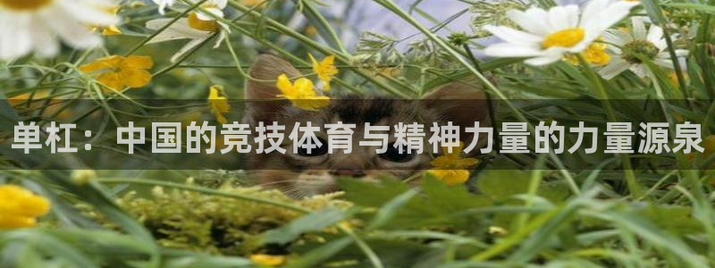 3377体育官网下载招商电话号码是多少号：单杠：中国的竞技体