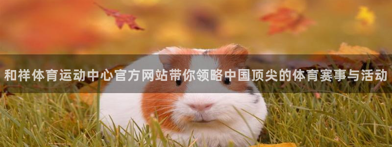 3377体育官方正版app娱乐40996：和祥体育运