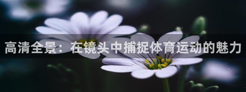 3377体育官网下载注册：高清全景：在镜头中捕捉体育