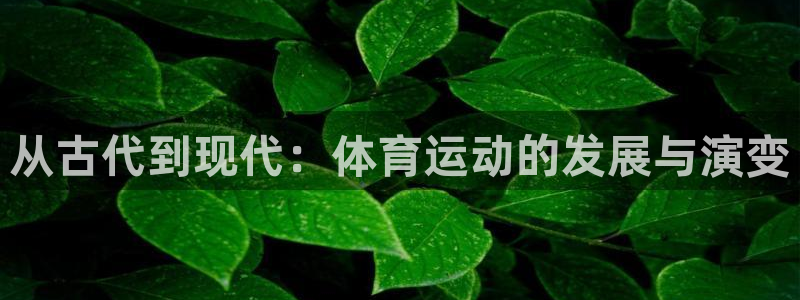 3377体育官网下载招商电话是多少号码：从古代到现代