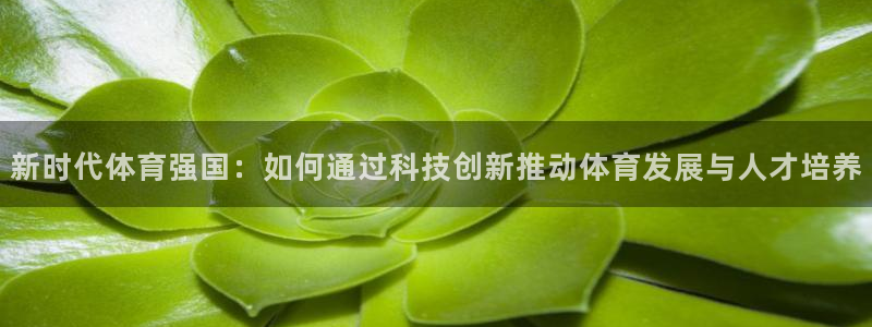 3377体育官方正版app娱乐首页网站大全：新时代体