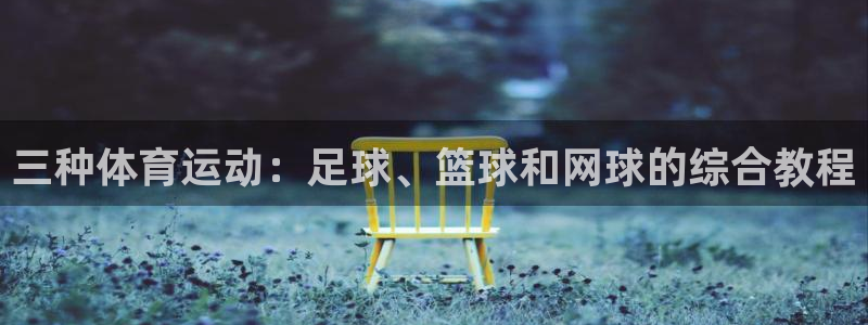 3377体育官网下载平台APP：三种体育运动：足球、篮球和网