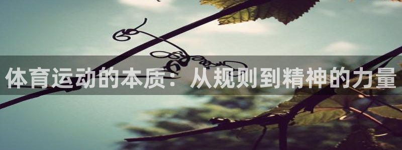 3377体育官网下载招商电话是多少啊：体育运动的本质：从规则