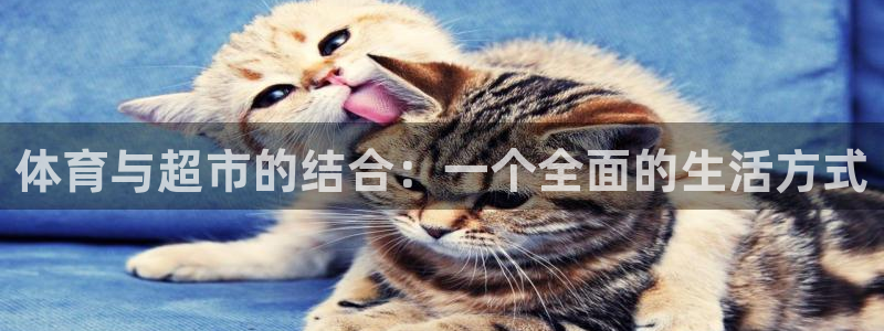 3377体育官网下载平台APP：体育与超市的结合：一
