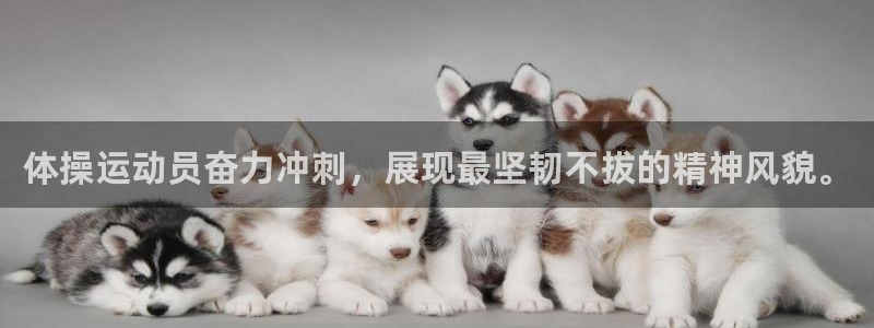 3377体育官方正版app娱乐是那个系列的台子：体操运动员奋