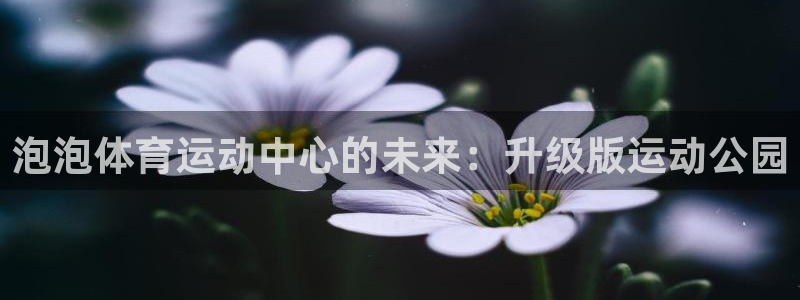3377体育官网下载平台注册要钱吗安全吗：泡泡体育运动中心的