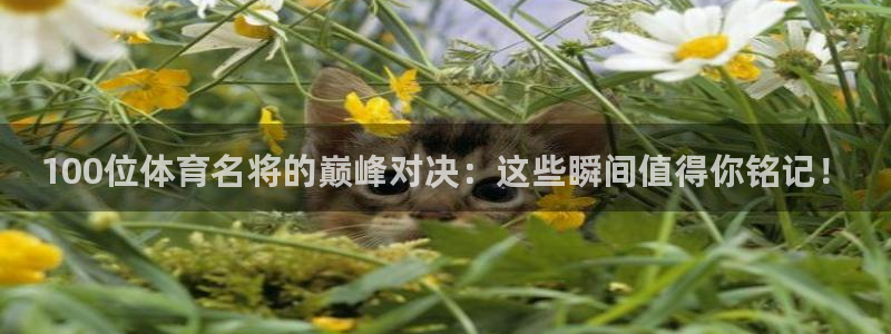 3377体育官方正版app神州：100位体育名将的巅