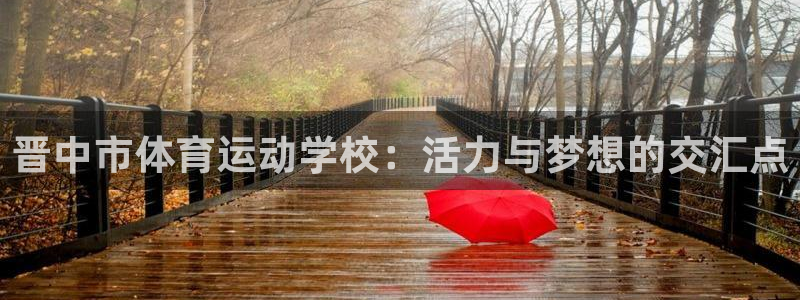 3377体育官方正版app科技：晋中市体育运动学校：