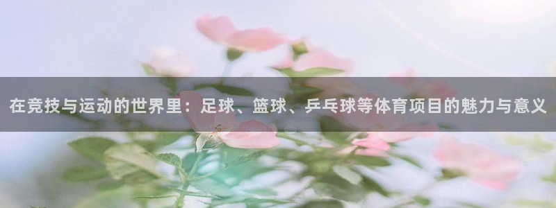 3377体育官方正版app集团官网首页：在竞技与运动的世界里