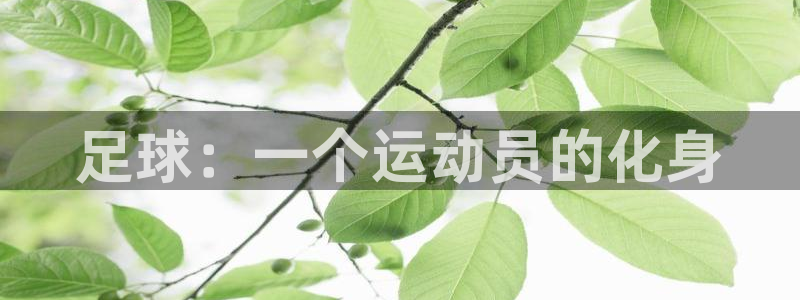 3377体育官网下载是干嘛的公司：足球：一个运动员的化身