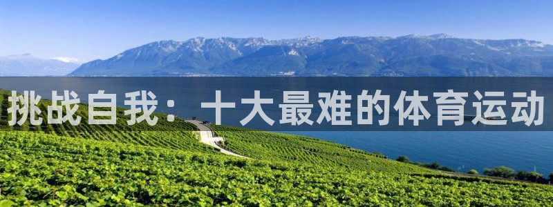 3377体育官方正版app新能源：挑战自我：十大最难的体育运