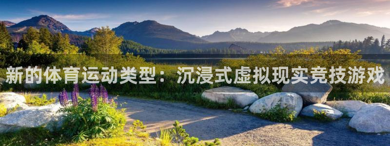 3377体育官网下载平台APP