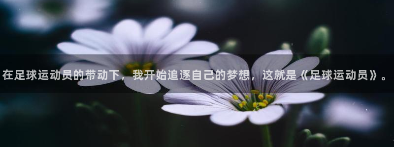 3377体育官网下载招商电话号码查询是多少