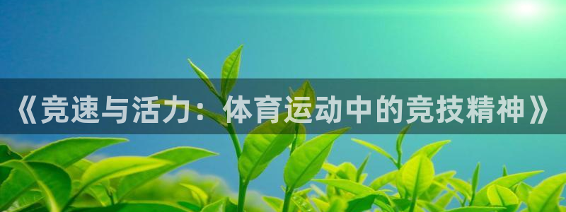 3377体育官方正版app官网：《竞速与活力：体育运动中的竞
