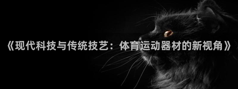 3377体育官网下载平台：《现代科技与传统技艺：体育运动器材