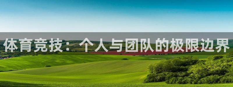 3377体育官网下载平台是正规平台吗安全吗：体育竞技：个人与