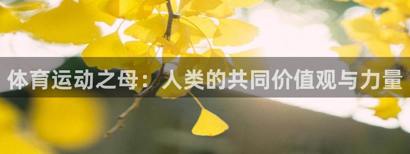 3377体育官方正版app娱乐：体育运动之母：人类的共同价值