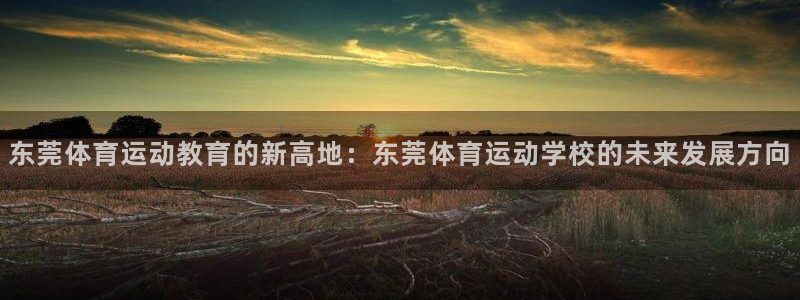 注册3377体育官方正版app