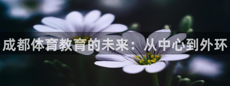 3377体育官网下载官方客服电话：成都体育教育的未来：从中心